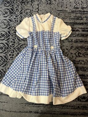 Women’s Dorthy Wizard of Oz costume size small